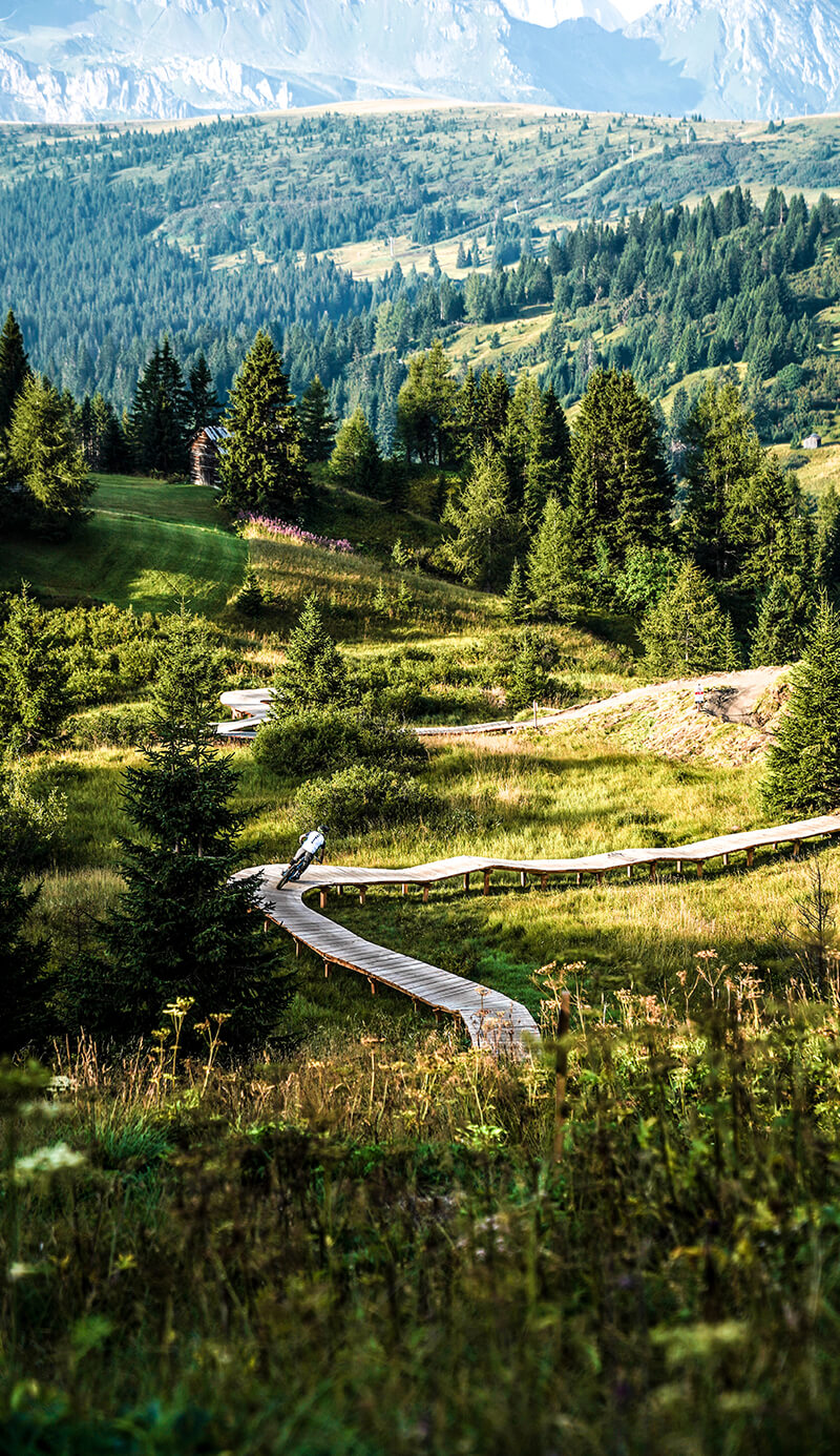 Chi siamo Movimënt Alta Badia